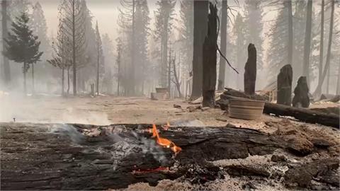 加州史上第三大野火　燒毀逾6.6個台北市