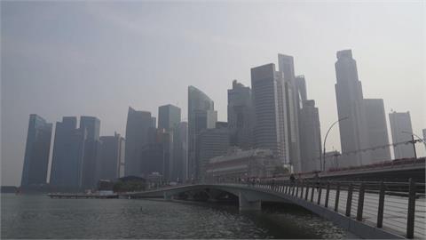 印尼整地焚燒植被樹木　霧霾跨海飄新加坡