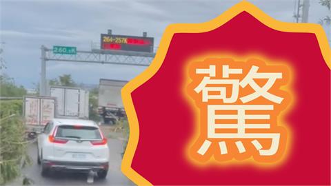 國道遭丹娜絲橫掃成森林小徑！車主變「叢林冒險家」網：還以為走錯片場