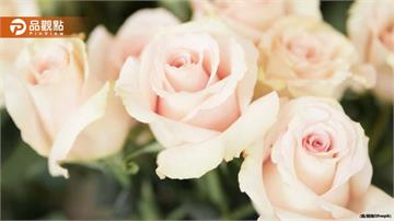 詭異！3男手捧玫瑰　三峽老街找「蔓妮定情物」