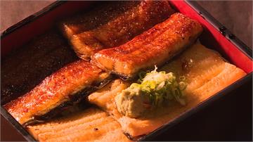白燒、蒲燒雙色鰻魚飯  兩種風味一次滿足
