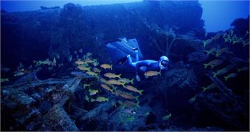 導演透露「畫面很養眼」　《沈睡的水下巨人》沉浸海底世界