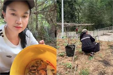 中配小微轉型田園女神！抖音改拍挑糞種菜　小粉紅酸：快接孩子回深淵