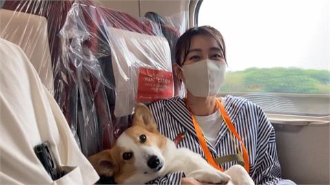 JR東新幹線寵物專車上路　狗狗爽躺座位上