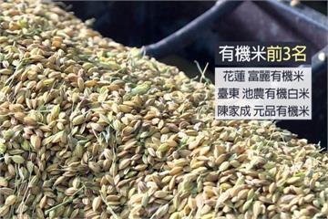 2017冠軍好米出爐 第一名就是這款