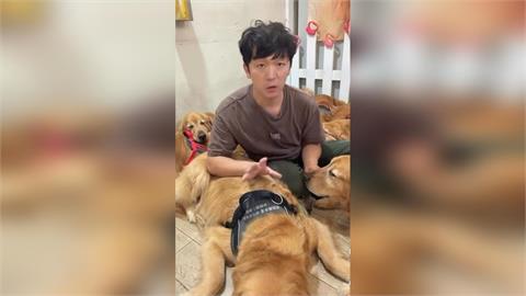快新聞／苗栗寵物餐廳爆打黃金獵犬！飼主喊冤：只為分開打架