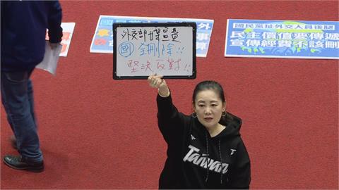 快新聞／外交部媒體宣傳費1.1億全刪！　吳思瑤怒喊：世界只剩中國的聲音