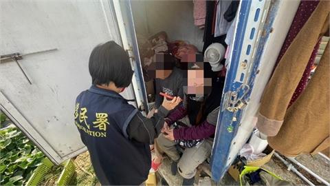 血汗草莓園！　壓榨泰移工「每日操16小時」近百人受害