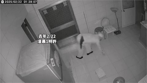 為躲監視器「學狗爬」闖屋仍露餡？　屏東賊5度行竊　屋主財損逾6萬