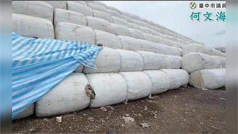 台中耗資1.3億垃圾太空包　遭老鼠啃破洞憂滋生傳染