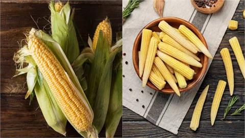玉米筍長大就是玉米嗎？這「2因素」不相同　營養價值也有差！