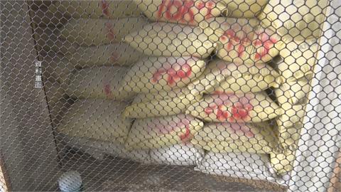 勾結碾米廠盜賣1300噸公糧　台南六甲農會總幹事收押