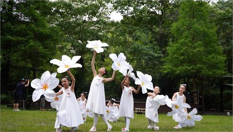 快新聞／今年新竹桐花祭正式登場　縣府開辦《桐聚時光村》邀民眾賞花吃美食