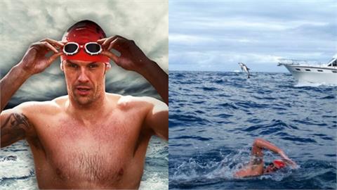 紐西蘭游泳遇「183公分大白鯊」尾隨　成群海豚築神秘防護牆護他