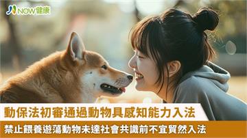 動保法初審通過動物具感知能力入法 禁止餵養遊蕩動物未達社會共識前不宜貿然入法