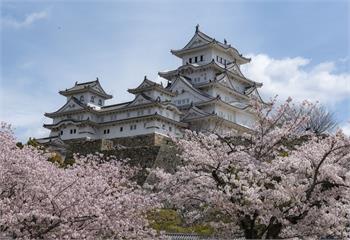 住在日本最懷念台灣什麼！眾人點名2神物