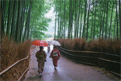 日本秋天楓葉季將登場　京都市「這設備」維護環境