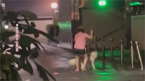 天母疑飼主虐狗！　女子遛狗到一半突拿「鍊繩抽打」