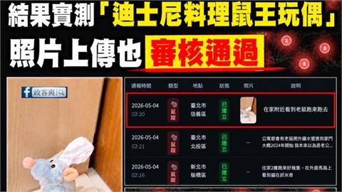 民眾自製「老鼠地圖」遭親藍粉專造假通報！律師揭1內幕轟：越來越沒下限
