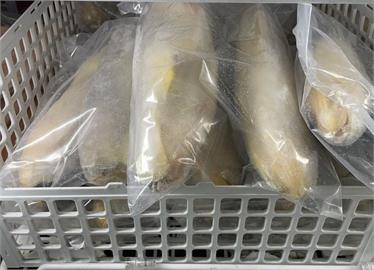 快新聞／中國進口小黃魚驗出禁藥　食藥署追回4成「已賣出1噸」