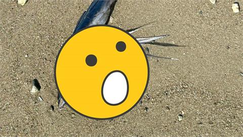 大地震前兆？日本海邊驚見「兇猛獠牙怪魚」畫面曝光…專家解答了