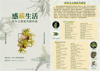 鹿迷玩家必看　青年公園鹿角蕨經典展