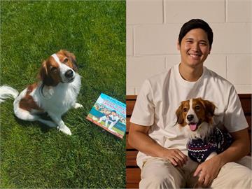 MLB／大谷翔平「三刀流」！斜槓作家出童書愛犬Decoy成主角