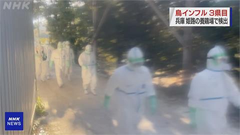 第4起禽流感！　日本兵庫縣姬路市撲殺逾15萬雞隻