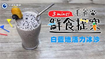 【毛爸鮮食提案】調理機快速料理～白藍地活力UP↑冰沙