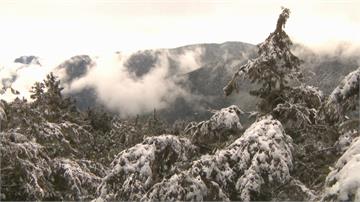 太平山冷到階梯結冰 遊客上山賞雪驚呼好美