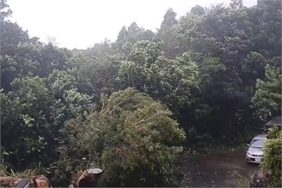 珊珊強襲日本九州！　鹿兒島等地交通大亂、民眾急避難