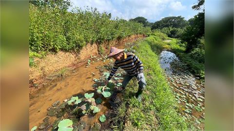 115年新北生態服務給付開跑　獎勵金最高可領7萬元