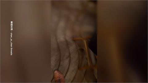 大直知名婚宴會館不速之客！　老鼠出沒狂竄民眾嚇壞