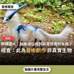 事實查核／【錯誤】網傳照片「這輩子也許從未看過的動物出現越南深山，名叫羊狐」？