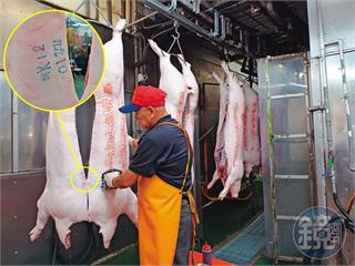 【屠戶夫婦宰金主3】無良業者一狠招搬走金雞母　她7千萬債權打水漂