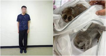 台男包緊緊「懶猴、水獺藏身上走私」！泰國機場遭逮　下場慘了