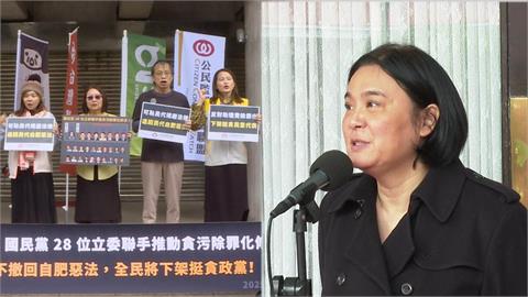 助理費除罪化喊卡避風頭?揭藍下一步恐修排黑條款 王定宇:民怨可嚇阻!