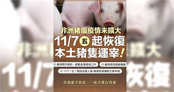 7日恢復本土豬運宰　賴清德：切勿從海外帶回違禁肉製品