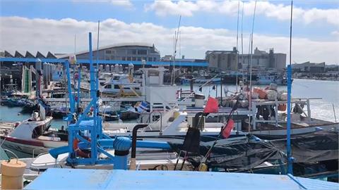 非洲豬瘟爭議又一椿 特約獸醫爆「拿我開刀抓戰犯」