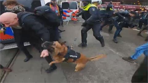 抗議荷蘭政府防疫封城！阿姆斯特丹萬民暴動　遭棍毆打、警犬撕咬受傷