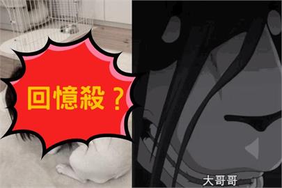 《鋼鍊》聲優一句「妮娜」讓2300萬人崩潰 童年創傷時隔10年再度發作