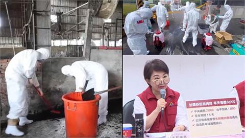 最前線(影)／梧棲豬場污泥還10公分高？卓冠廷：前兩輪清潔員變傳播者！