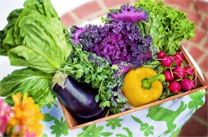 「農藥殘留最低」蔬果Top15曝光！最美營養師加碼曝「正確洗菜」4步驟