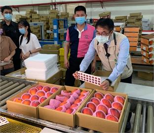 黃偉哲全力行銷台南農特產！芒果日韓銷量「28萬→74萬」破記錄成長