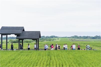 暑假迎來長濱的節奏　長濱馬拉松帶動旅遊運動新結合