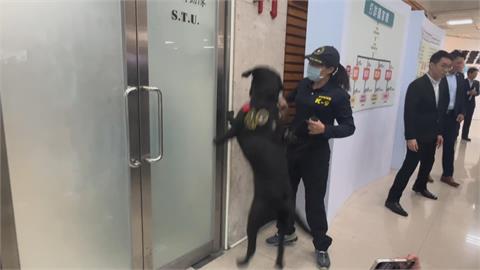 全台唯一電子偵測犬！　每天兩次嗅覺訓練　Wafer偵破5件洗錢案