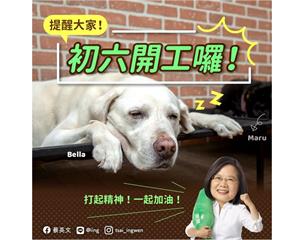 初六開工秀狗狗愛睏照 蔡英文勉勵「繼續團結防疫為台灣拚出好年」