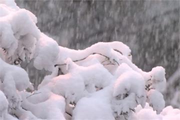 下雪了！ 美國南方墨西哥北部成銀白世界