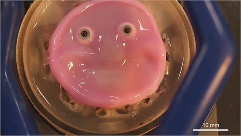 日學者開發「與活體皮膚相近」物質　盼打造逼近人體外觀機器人