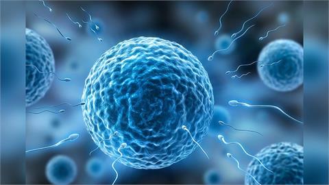 快新聞／男性注意！美研究發現「這因素」恐影響精子DNA　降低生育力